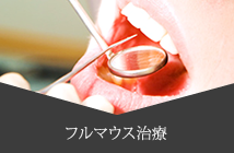 フルマウス治療